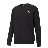 Picture of Bluza Barbati Puma Essentials 586684-51