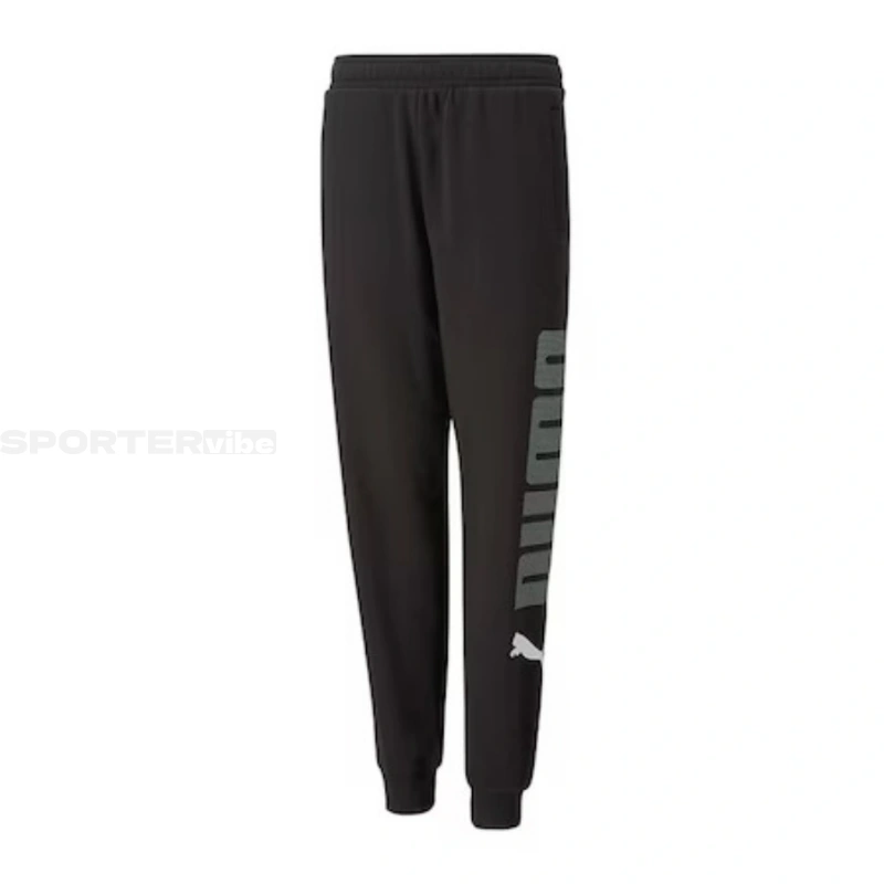 Picture of Pantaloni Trening Puma Power 673265-01