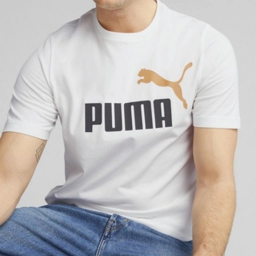 Picture of Tricou Barbati Puma Essentials 586759-58