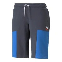 Picture of Pantaloni Scurti Barbati Puma Essentials 531713-64