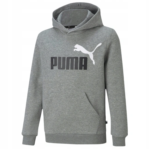 Picture of Hanorac Copii Puma Essentials 586987-03