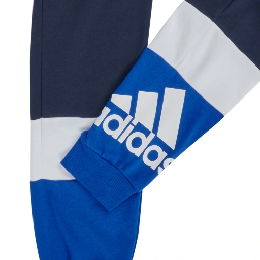 Picture of Pantaloni Trening Copii Adidas Performance HN8557