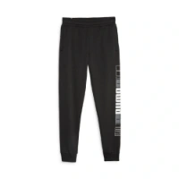 Picture of Pantaloni Trening Barbati Puma Essentials 675920-01