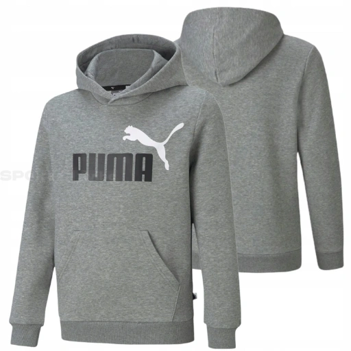 Picture of Hanorac Copii Puma Essentials 586987-03