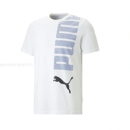 Picture of Tricou Barbati Puma Essentials 673370-02