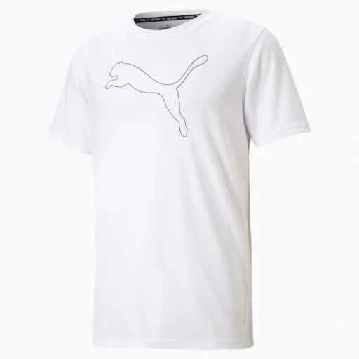 Picture of Tricou Barbati Puma Performance 520315-02