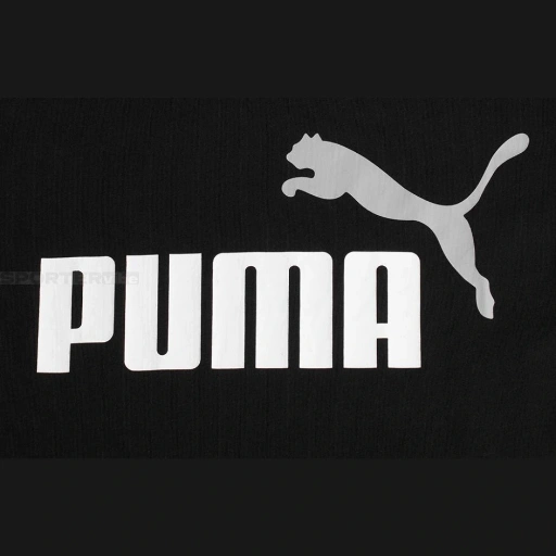 Picture of Tricou Barbati Puma Essentials 586759-61