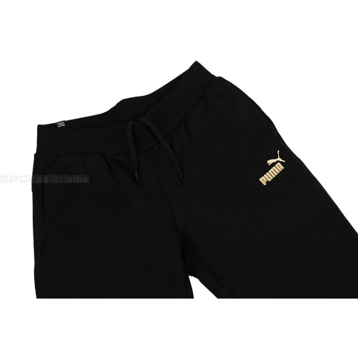 Picture of Pantaloni Trening Femei Puma Essentials 849959-01